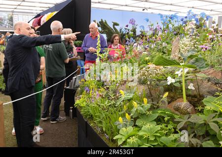Chelsea Flower Show 2023 - Besucher am RHS Member Day, die sich die Pflanzen im Great Pavilion ansehen; Chelsea London UK Stockfoto