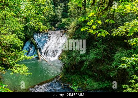 Ein Landschaftsbild der Drake Falls im Silver Falls State Park im Bundesstaat Oregon Stockfoto