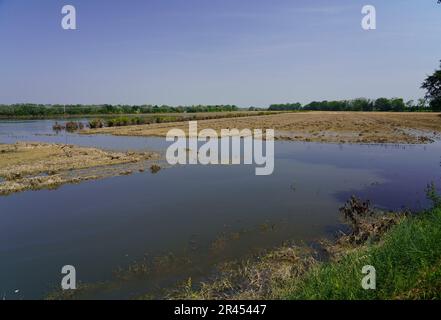 Überschwemmung in Conselice (Emilia Romagna) Mai 2023 Stockfoto