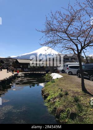 Ein Fluss mit Autos und traditionellen japanischen Häusern am Ufer mit dem Fuji im Hintergrund. Stockfoto