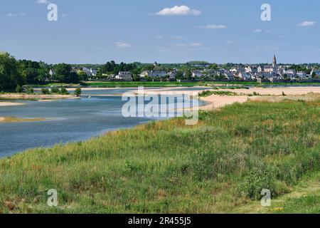 Ingrandes (Nordwestfrankreich): Landschaft, Ufer der Loire Stockfoto