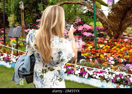 Rückansicht einer jungen Frau, die ein Foto von Blumen im Inneren des Great Pavilion macht, Chelsea Flower Show 2023, London UK Stockfoto