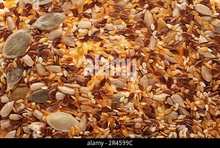 Samen verschiedener Arten: Leinsamen, Sesamsamen, Sonnenblumenkerne und Kürbiskerne Stockfoto