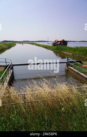 Überschwemmung in Conselice (Emilia Romagna) Mai 2023 Stockfoto