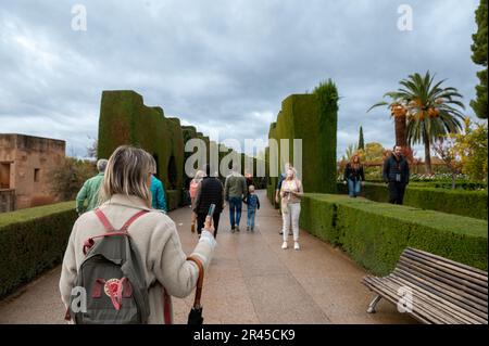 Eine Gruppe von verschiedenen Menschen genießen einen sonnigen Tag, während sie gemütlich einen Fußweg entlang spazieren, der von üppigen Hecken und einer Parkbank umgeben ist Stockfoto
