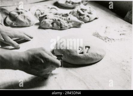 Augustin, Paul, SS-Fotograf der Leibstandarte Adolf Hitler. Dokumentierte Ereignisse in Holland, Frankreich (1940) und Russland (1941-43). Französische Kriegsgefangene, Brückenbau, Panzerabwehrmannschaft, Maschinengewehrmannschaft, Fahrzeugkonvois auf der Straße und in Städten, belgische Festungen, Kriegsgefangenenlager, Zerstörungsszenen, Nachkampf- und Besatzungsaktivitäten, Trainings- und Sportaktivitäten, Hitlerjugend und Bund Deutsche Mädchen Sportliche Aktivitäten und kulturelle Darbietungen, Unit Formations und Zeremonien, Feldlazarett, Einzel- und Gruppenfotos, leichte Flugabwehr Stockfoto