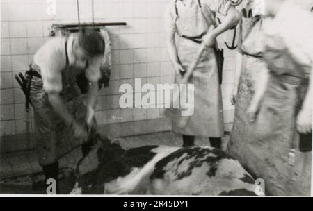Augustin, Paul, SS-Fotograf der Leibstandarte Adolf Hitler. Dokumentierte Ereignisse in Holland, Frankreich (1940) und Russland (1941-43). Französische Kriegsgefangene, Brückenbau, Panzerabwehrmannschaft, Maschinengewehrmannschaft, Fahrzeugkonvois auf der Straße und in Städten, belgische Festungen, Kriegsgefangenenlager, Zerstörungsszenen, Nachkampf- und Besatzungsaktivitäten, Trainings- und Sportaktivitäten, Hitlerjugend und Bund Deutsche Mädchen Sportliche Aktivitäten und kulturelle Darbietungen, Unit Formations und Zeremonien, Feldlazarett, Einzel- und Gruppenfotos, leichte Flugabwehr Stockfoto