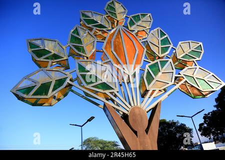 gandu, bahia, brasilien - 19. Mai 2023: Skulptur, die von einem Mann in einem Kakaobaum geformt wurde. Kunstwerk aus der Stadt Gandu. Stockfoto