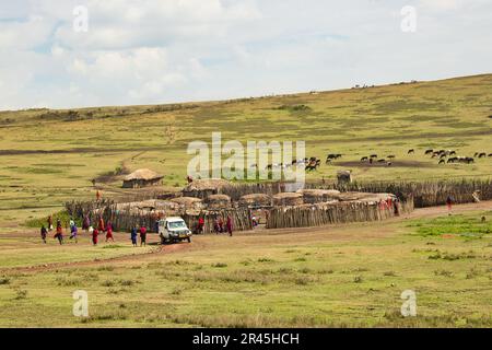 30. Dezember 2017, Serengeti-Nationalpark, Tansania - eines der vielen Maasai-Dörfer im Ngorongoro Conservation Area, Tansania Stockfoto