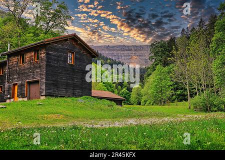 Ein malerischer Blick auf eine Berglandschaft mit einer gemütlichen Holzkabine im Vordergrund und einem üppigen Wald auf der anderen Seite. Stockfoto