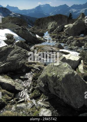 Das Wasser fließt an Felsen in der Wildnis mit Bergen Stockfoto