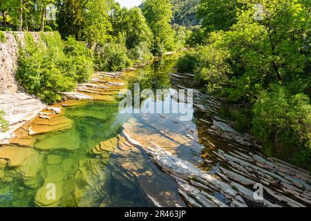 Vis im Frühjahr in Hérault, Occitanie, Frankreich Stockfoto