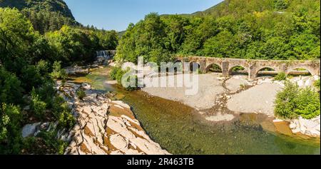 Vis im Frühjahr in Hérault, Occitanie, Frankreich Stockfoto