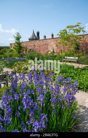 Der Paradiesgarten bei RHS Bridgewater, Worsley Greater Manchester, England. Stockfoto