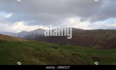 Auf einer Wiese stehen zwei braune und weiße Kühe vor dem Hintergrund schneebedeckter Berge Stockfoto