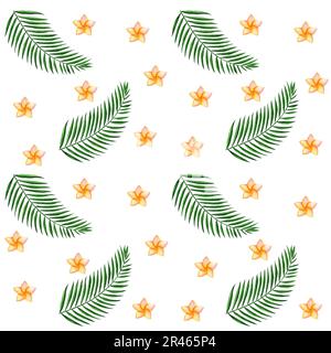 Blütenmuster im Sommer mit tropischer Blütenplumeria auf weißem Hintergrund. Handgezeichnete Aquarelldarstellung. Stockfoto