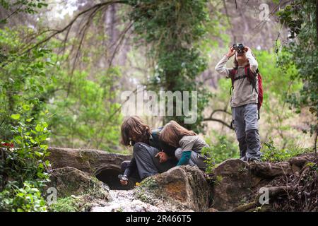 Dieses fesselnde Bild fängt den Moment ein, in dem eine Gruppe von Kindern die Natur an einem Bach im Herzen des Waldes erforscht. Stockfoto