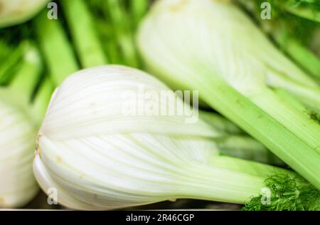 Bild: Fenchel auf dem Markt zum Verzehr. Stockfoto