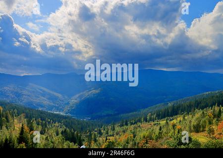 Foto wurde in der Ukraine aufgenommen. Das Bild zeigt die Landschaft der Karpaten in Herbstdekoration nach einem Regenfall. Stockfoto