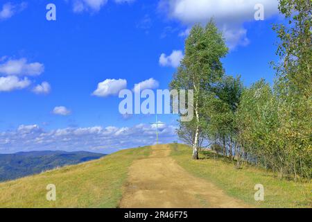 Das Foto wurde in der Ukraine gemacht, in den Karpaten. Das Bild zeigt die Straße zum Gipfel des Mount Makovitsa, wo ein hohes Kreuz installiert ist Stockfoto