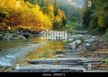 Foto wurde in der Ukraine aufgenommen. Das Bild zeigt eine herbstliche Landschaft mit einem klaren Fluss in den Karpaten. Stockfoto