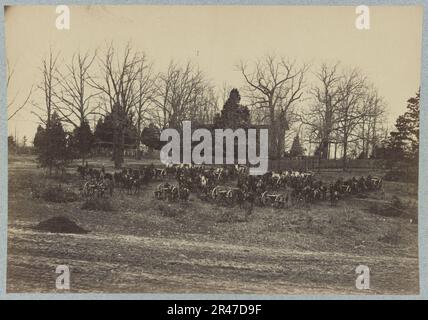 Union Artillerie mit Pferden und Kanonen Stockfoto