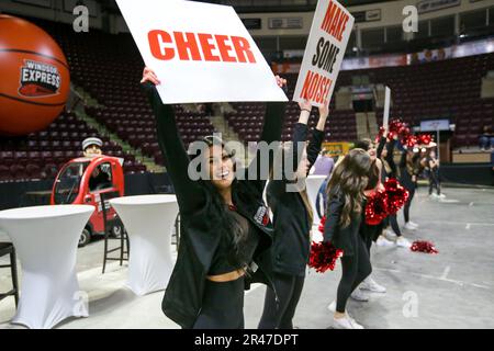 Am 25 2023. Mai spielen Windsor Ontario Canada und der Windsor Express ihr letztes NBLC-Spiel auf der WFCU-Arena. Windsor Express Tanzteam. Luke Durda/Alamy Stockfoto