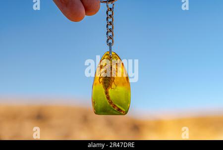 Skorpion totes Tier, umgeben von gelbem goldenem Harz, brauner Schlüsselanhänger, der von einer menschlichen Hand gehalten wird, Makrofotografie, selektiver Fokus auf Vordergrund. Stockfoto