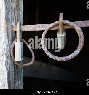 Eine kunstvoll verzierte Holztür mit zwei großen, dekorativen rostigen Ringen Stockfoto