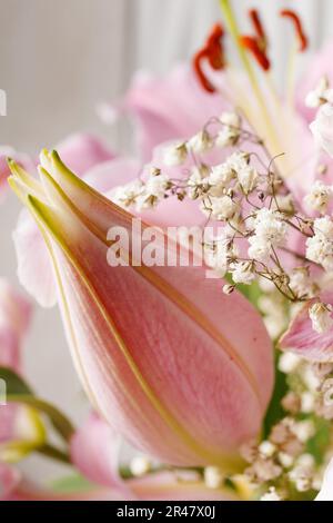 Blühende rosa Lilien und eine Nahaufnahme einer ungeöffneten Knospe auf weißem Hintergrund. Ein Strauß wunderschöner großer Lilienblumen. Stockfoto