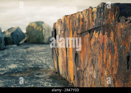 Ein verwitterter Zaunpfahl aus Beton liegt auf einem Strand, umgeben von Rost und Struktur Stockfoto