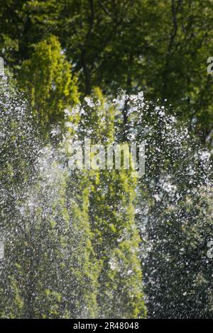 Wasser aus einem Springbrunnen, das in die Luft spritzt Stockfoto