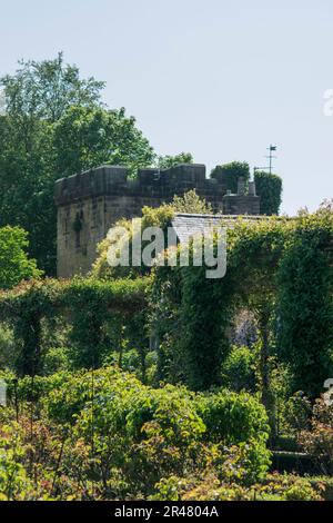 Schloss auf dem Grundstück eines Gartens Stockfoto