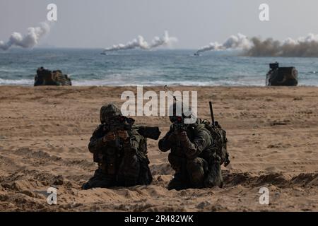 HWAJIN-RI BEACH, Republik Korea (29. März 2023) – während Ssang Young 23 bieten Marines der Republik Korea Sicherheit an einem Strand. Anlässlich des 70.-jährigen Bestehens der Allianz zwischen den USA und der Russischen Föderation stärkt Ssang Young 2023 die Allianz durch bilaterale gemeinsame Schulungen, trägt zur gemeinsamen Verteidigung der koreanischen Halbinsel durch die Russische Föderation bei und erhöht die Bereitschaft der Allianz zwischen den USA und der Russischen Föderation. Stockfoto