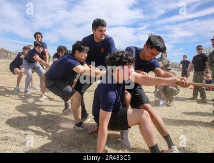 Recruiting Station (RS) Albuquerque hielt kürzlich vom 31. März 2023 bis zum 1. April 2023 ihre jährliche Pool-Funktion am New Mexico Military Institute in Roswell, Nm, ab. Der Zweck der Funktion „Annual Pool“ besteht darin, die Unterstationen für die Personalbeschaffung zusammenzubringen und es ihren Poolees zu ermöglichen, einige der Herausforderungen, denen sie sich während ihrer bevorstehenden Personalschulung stellen müssen, aus erster Hand zu erleben. Die RS hatte auch Trainer vom Marine Corps Recruiter Depot San Diego besucht, um bei den täglichen Veranstaltungen behilflich zu sein. Stockfoto