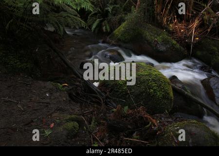 Eine malerische Landschaft mit einem kleinen Fluss, der sich durch einen dichten grünen Wald schlängelt, umgeben von felsigem Gelände Stockfoto