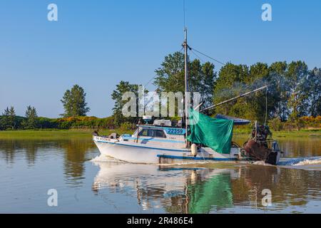 Kleines kommerzielles Fischerboot, das zum Hafen von Steveston in British Columbia, Kanada, zurückkehrt Stockfoto