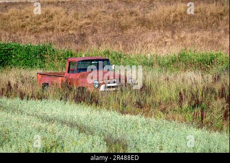 Ein rostiger, alter Pickup-Truck, verlassen auf einem Feld mit altem Gras. Pitt Meadows, B.C., Kanada. Stockfoto