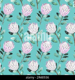 Nahtloses Muster mit pinkfarbenen protea-Blumen, handgezeichnete detaillierte Darstellung in Aquarell Stockfoto