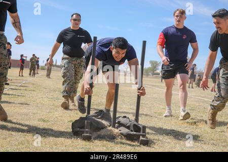 Recruiting Station (RS) Albuquerque hielt kürzlich vom 31. März 2023 bis zum 1. April 2023 ihre jährliche Pool-Funktion am New Mexico Military Institute in Roswell, Nm, ab. Der Zweck der Funktion „Annual Pool“ besteht darin, die Unterstationen für die Personalbeschaffung zusammenzubringen und es ihren Poolees zu ermöglichen, einige der Herausforderungen, denen sie sich während ihrer bevorstehenden Personalschulung stellen müssen, aus erster Hand zu erleben. Die RS hatte auch Trainer vom Marine Corps Recruiter Depot San Diego besucht, um bei den täglichen Veranstaltungen behilflich zu sein. Stockfoto