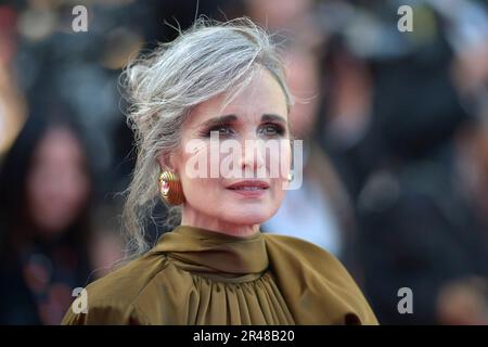 Cannes, Frankreich. 25. Mai 2023. Andie MacDowell besucht den roten Teppich „L'Ete Dernier (Letzter Sommer)“ während des 76. Jährlichen Filmfestivals in Cannes am Palais des Festivals am 25. Mai 2023 in Cannes, Frankreich. Kredit: dpa/Alamy Live News Stockfoto