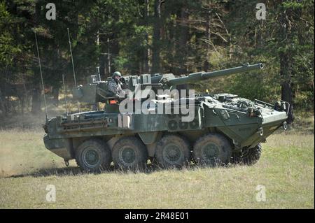 US-Armee-Soldaten in einem M1128 Stryker Mobile Gun System, das der Apache Kompanie, 1. Geschwader, 2. Kavallerie-Regiment im Jahr 2012 zugeteilt wurde Stockfoto