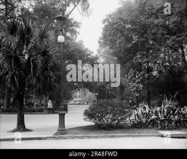 Forsyth Park, Savannah, Georgia, zwischen 1900 und 1910. Stockfoto