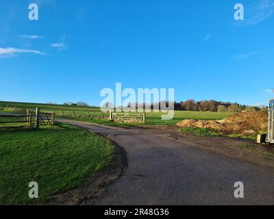 Eine malerische ländliche Landschaft mit einer friedlichen Landstraße, die durch ein üppiges grünes Feld führt Stockfoto