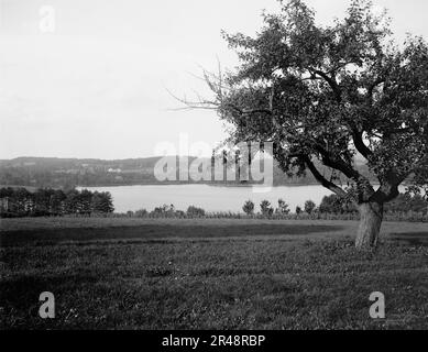 Laurel Lake, Westinghouse Estate, Lenox, Mass., zwischen 1910 und 1920. Erskine Park, Anwesen von George Westinghouse (1846-1914), liegt auf der anderen Seite des Sees auf der linken Seite. Stockfoto