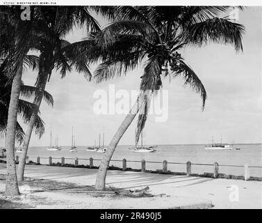 Biscayne Bay, Miami, Florida, c.between 1910 und 1920. Stockfoto