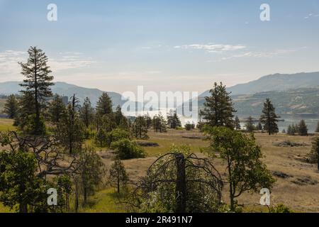 Wunderschöne Sommerlandschaft mit Blick auf die Eastern Columbia River Gorge von der Catherine Creek Wanderung im Bundesstaat Washington Stockfoto