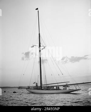 Siegreiche Columbia beim Anlegen im Hufeisen nach dem Rennen vom 4. Oktober 1901, fliegende Wimpel, 1901. Oktober 4. Stockfoto