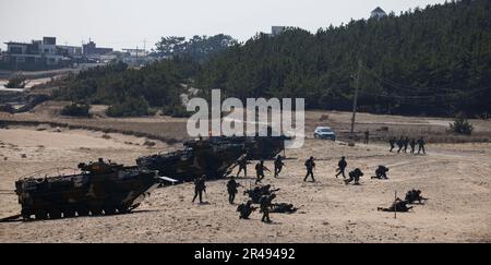 HWAJIN-RI BEACH, Republik Südkorea (28. März 2023) – während Ssang Yong 23 eine Amphibienlandung an einem Strand durchführen. Anlässlich des 70.-jährigen Bestehens der Allianz zwischen den USA und der Russischen Föderation stärkt Ssang Young 2023 die Allianz durch bilaterale gemeinsame Schulungen, trägt zur gemeinsamen Verteidigung der koreanischen Halbinsel durch die Russische Föderation bei und erhöht die Bereitschaft der Allianz zwischen den USA und der Russischen Föderation. Stockfoto