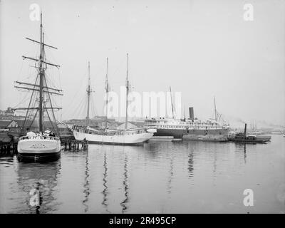 Am Flussufer, Jacksonville, Florida, c1904. Stockfoto